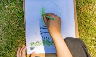 Child's hand drawing a picture of a plant outdoors