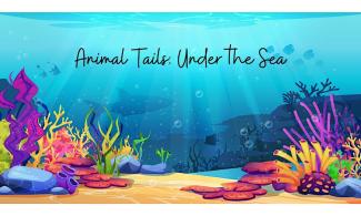 Sea bed illustration