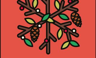 An illustration of a snowflake made out of branches and decorated with leaves and pinecones. Underneath it reads, 'Christmas Craft, Saturday 7th December'.