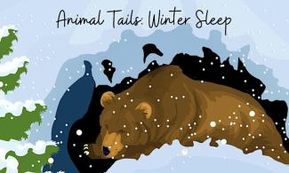 Illustration of a bear in the cold