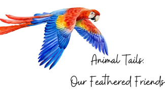 Illustration of a bird