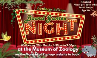 Board Games Night wording in lights design