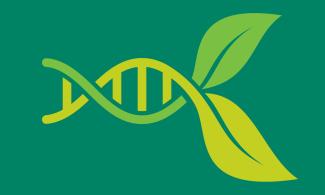 Two strands of helix in a double helix turn into leaves at the end