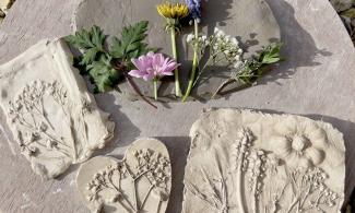 Image of casted flowers. 