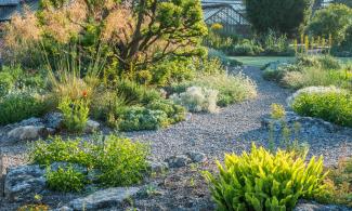Mediterranean beds in early morning light.