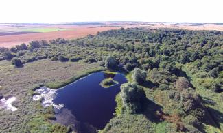 Drone image of fenland and trees with agricultural fields in the distance.