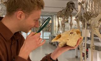 Man looking at skull through a lens