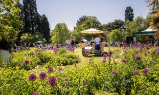 A view onto the main lawn with stalls and visitors enjoying the sun.