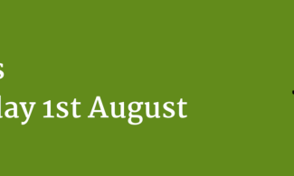 Green poster, with text "Insects - Thursday 1st August" and a cartoon ladybug