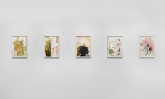 white wall with 5 watercolour paintings on