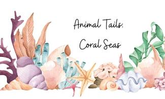 Illustration of corals in pastel colours