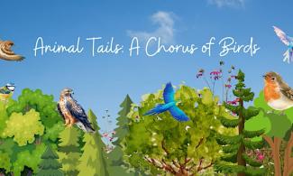 Illustration of birds in trees