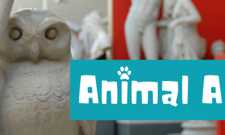 A statue of an owl with white text on a teal block that says 'Animal Antics'