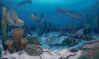 An artist's impression of a Cambrian sea bed, including corals, trilobites and anomalocaris.