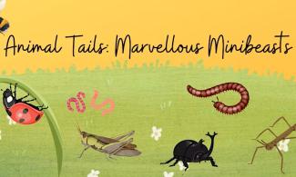 Illustrations of mini beasts