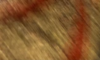 Blurred image of feathered cape