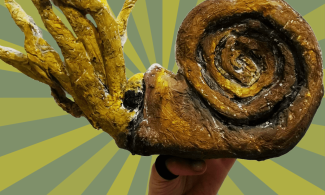 A hand holds up a model ammonite with a swirled shell and tentacles emerging from its opening. The background is light and dark green striped.
