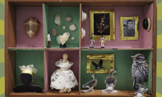 A small brown wooden Wunderkammer box divided into six sections, each containing a miniature scene: a shell, a mannequin with a gold jewelled crown, a mannequin in a white lace dress, a minifigure viewing shells like a gallery, another viewing an art gallery, and duck cut-outs attending a bird-themed exhibition. Set on a light and dark green striped background.