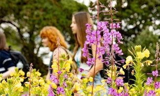 Students walking through flowerbeds