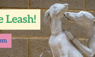 Off the Leash. 6 Aug, 2-4pm.