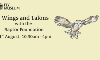 A drawing of an owl in flight on a yellow coloured background with the words Wings and Talons
