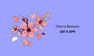 An illustration of pink flowers and buds with dark red stems on a purple background. Text reads Cherry Blossom, Sat 4 Apr