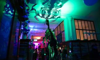 In a dark museum gallery, a green light shines through a large Iguanodon dinosaur skeleton, its head nearly touches the ceiling. The shadow of its ribcage spreads eerily across the ceiling in the glowing green light.