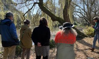 Image of four adults facing a tour guide next to a large tree