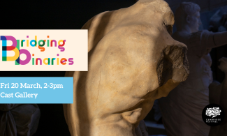 Bridging Binaries: Fri 20 March, 2-3pm, Cast Gallery.