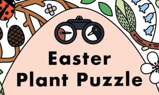 A colourful illustration including branches, leaves, flowers, pinecones and a ladybird, with binoculars and 'Easter Plant Puzzle' in the centre.