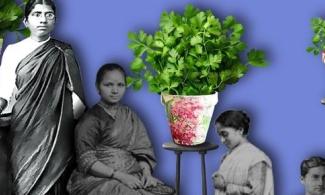 The doctor’s secret garden: Hidden stories of healing