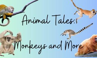 Illustrations of monkeys on a blue background