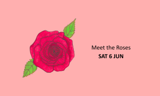 A red rose with green leaves on a pink background beside text that reads "Meet the Roses SAT 6 JUN".