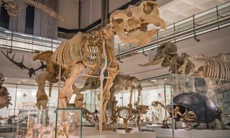 Photo of the lower gallery of the Museum