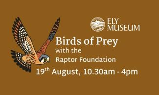 A bird of prey in flight is featured on a brown background along with the event information 