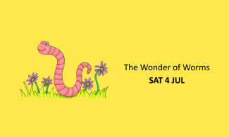 An illustration of a worm with grass and flowers and a yellow background. Text reads 'The Wonder of Worms SAT 4 JUL'.