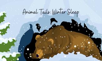 Illustration of a bear in a snowy cave.
