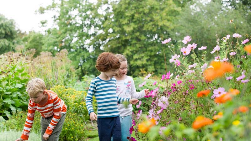 Children exploring the Botanical Gardens in summer