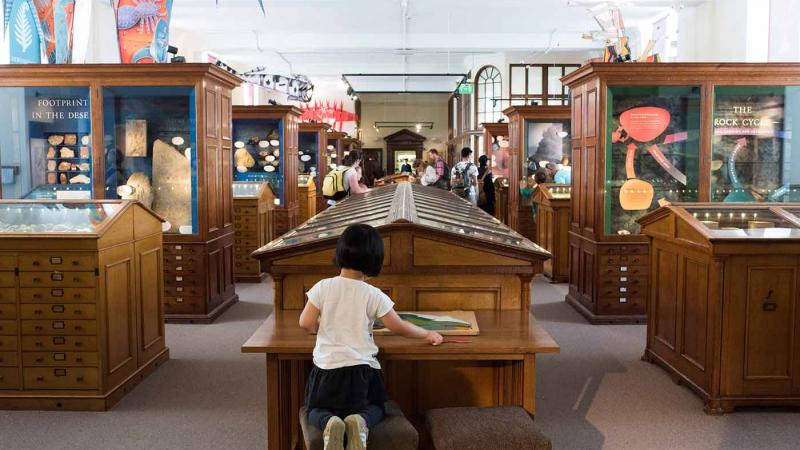A child exploring the exhibits during summer at the museums