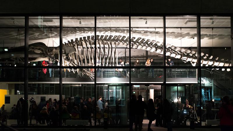 The Whale Hall at night