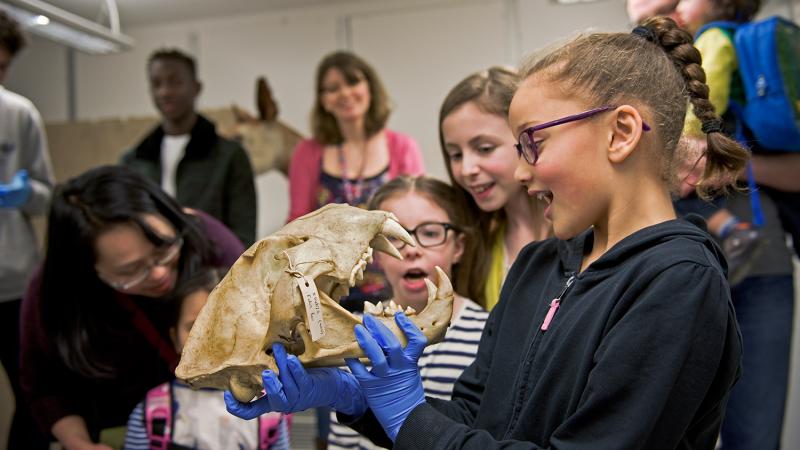 A school trip at the museum holding objects