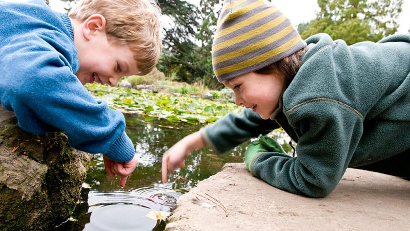 Children by pond