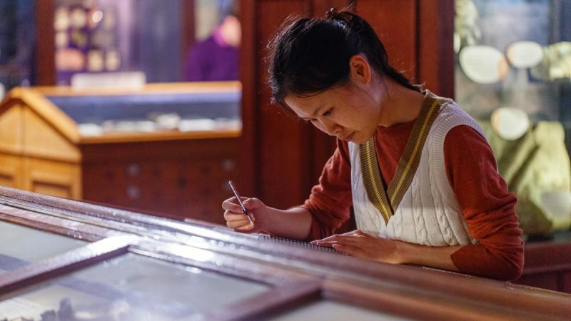 A person drawing in the Sedgwick Museum