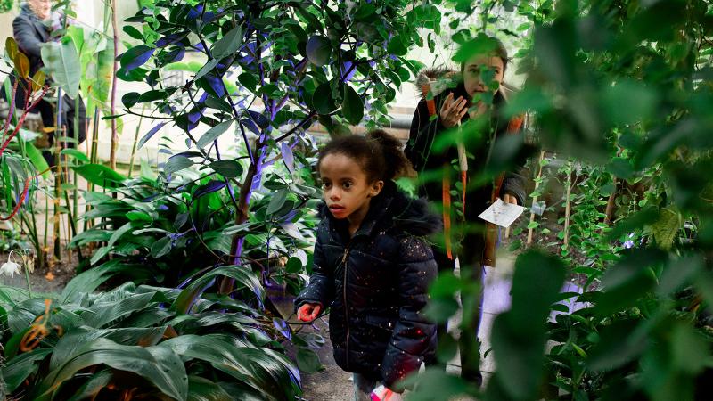 Visitors exploring the Tropical Range in the Glasshouse