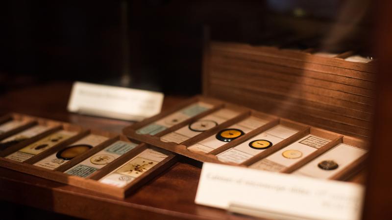 Collections from the Whipple Museum