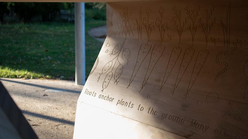 Detail from the Rising Path at the Botanic Garden