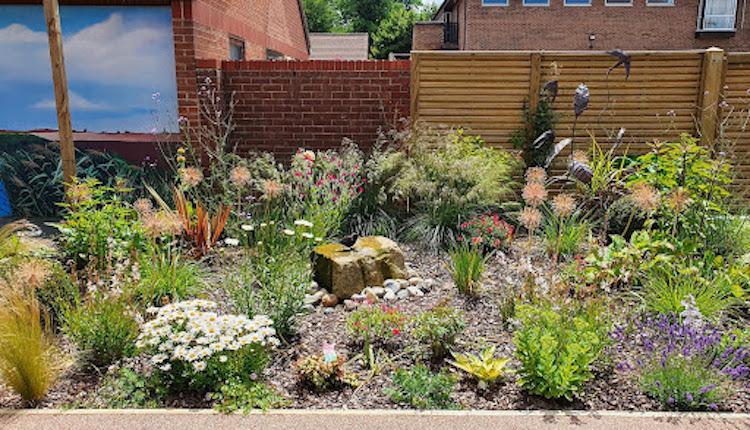 A flower bed with flowers and plants