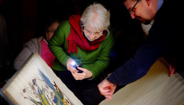 A museum visitor using their phone torch to see artwork 