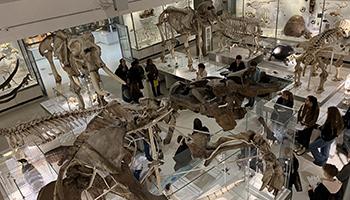 Students in the Museum of Zoology gallery viewed from above.