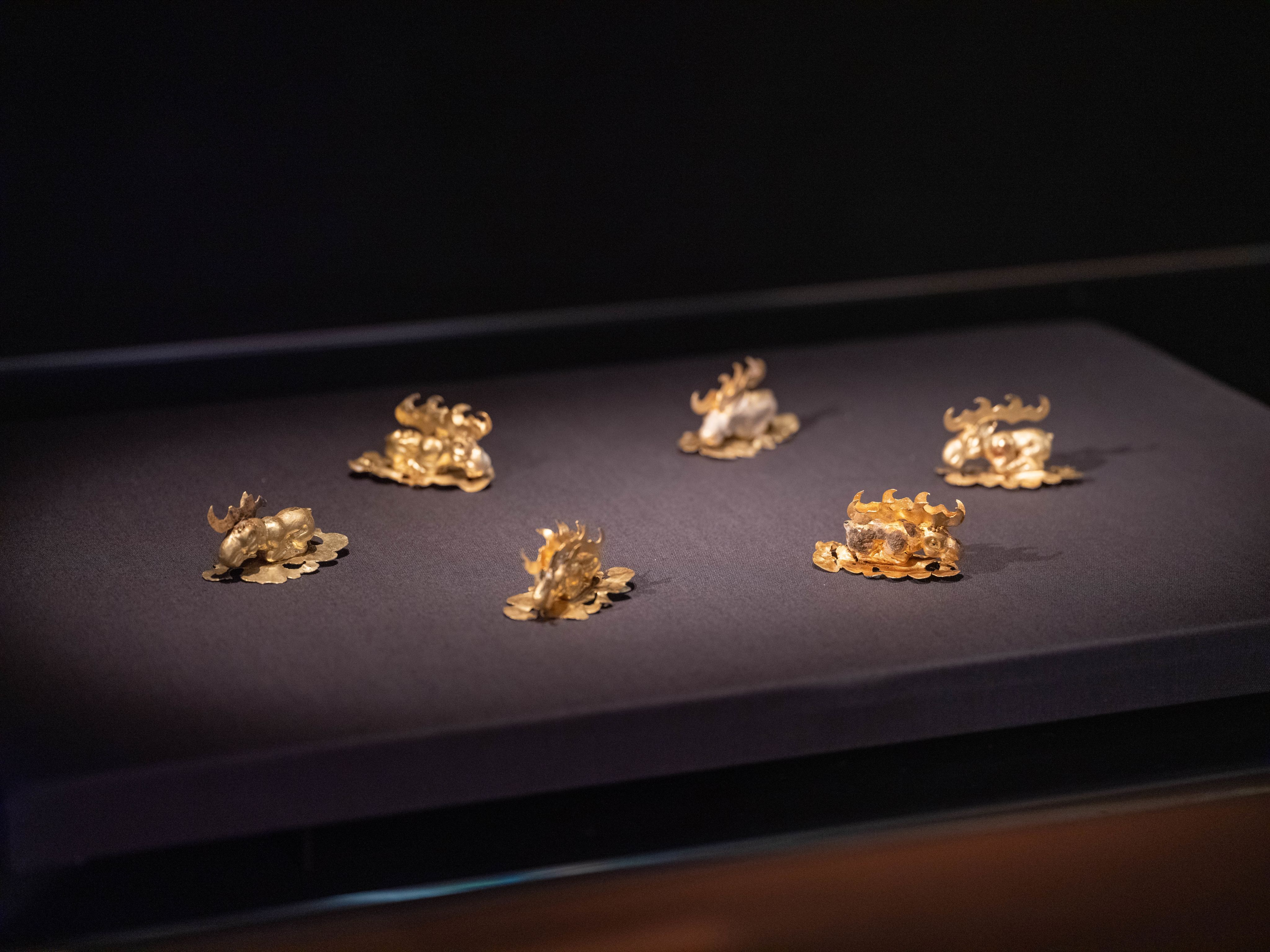 Six tiny gold objects sit on a black background
